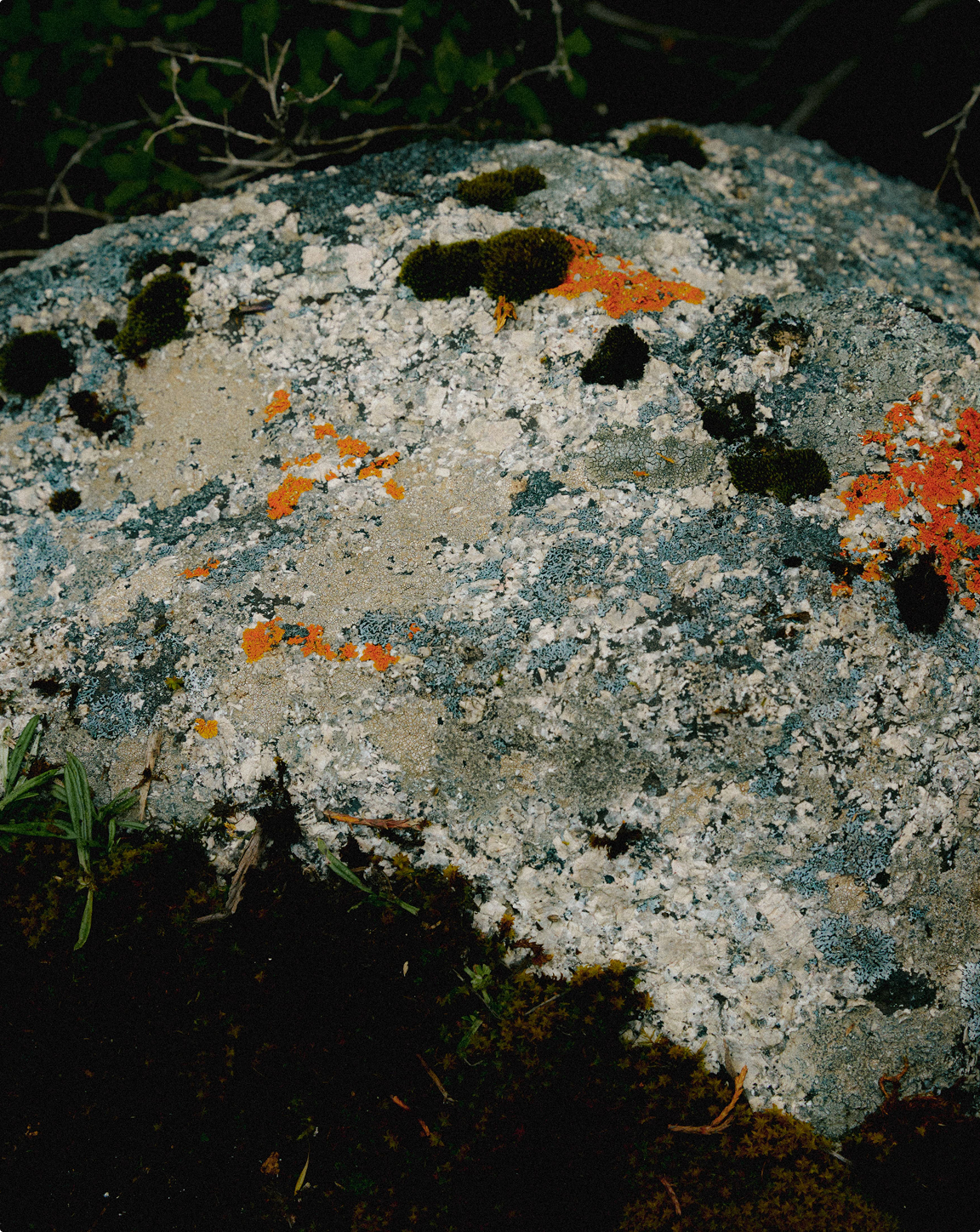 A collage of 20 images shows close-ups of mens and womens outdoor clothing, fabric textures, 
                folded gear, lace, zippers, patterns, and a person pulling a hood and using foil for warmth, highlighting material details and design.