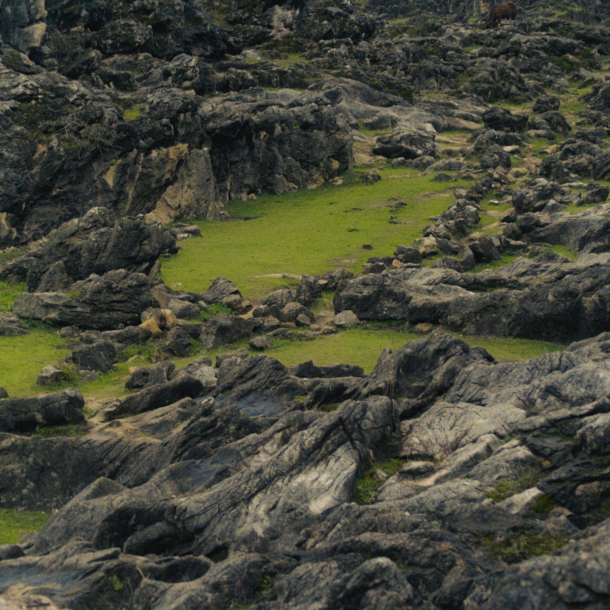 Detailed view of uneven stone surface covered in moss and patches of green grass