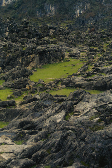 Detailed view of uneven stone surface covered in moss and patches of green grass
